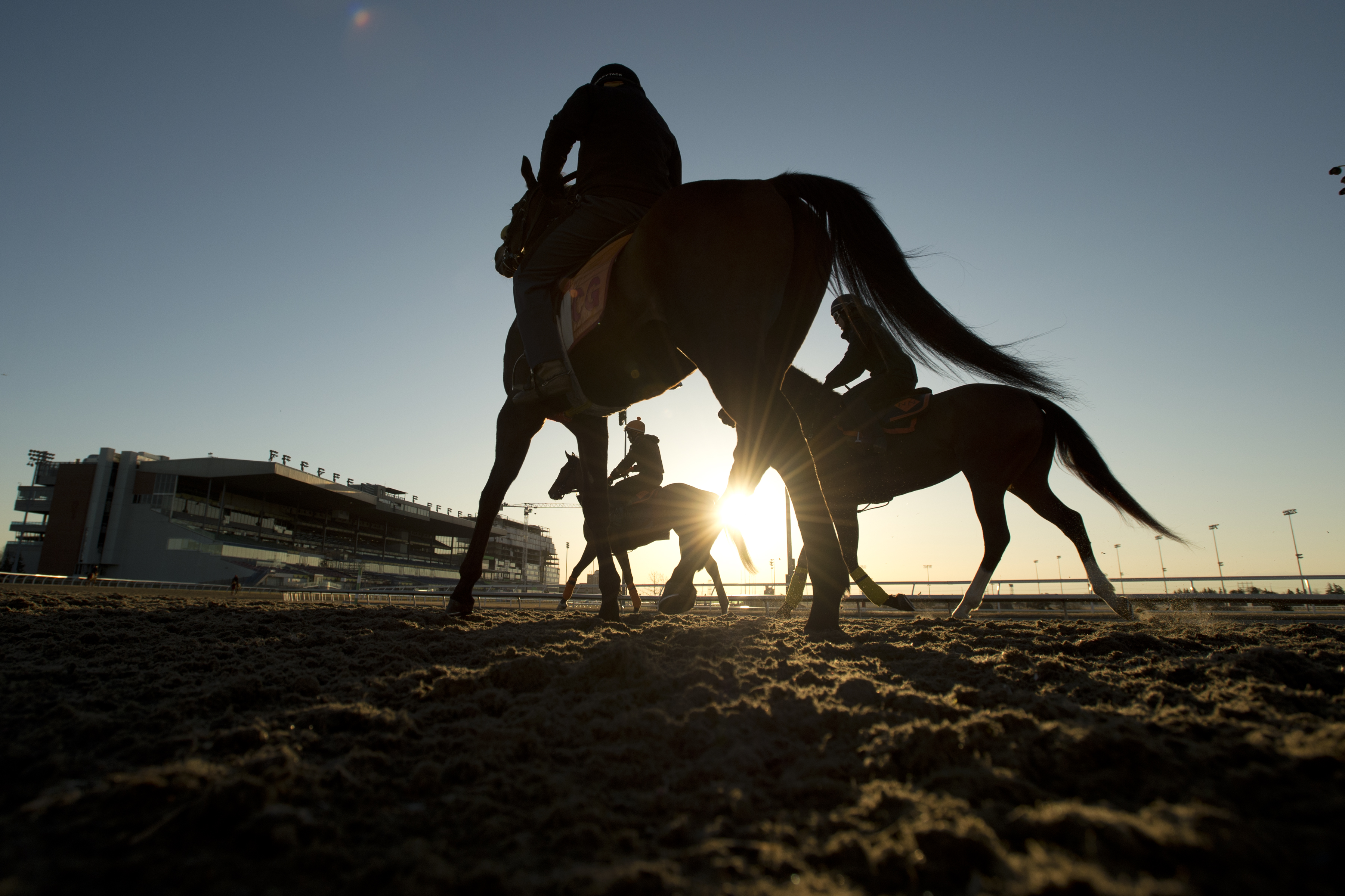 Woodbine - Opening 2022