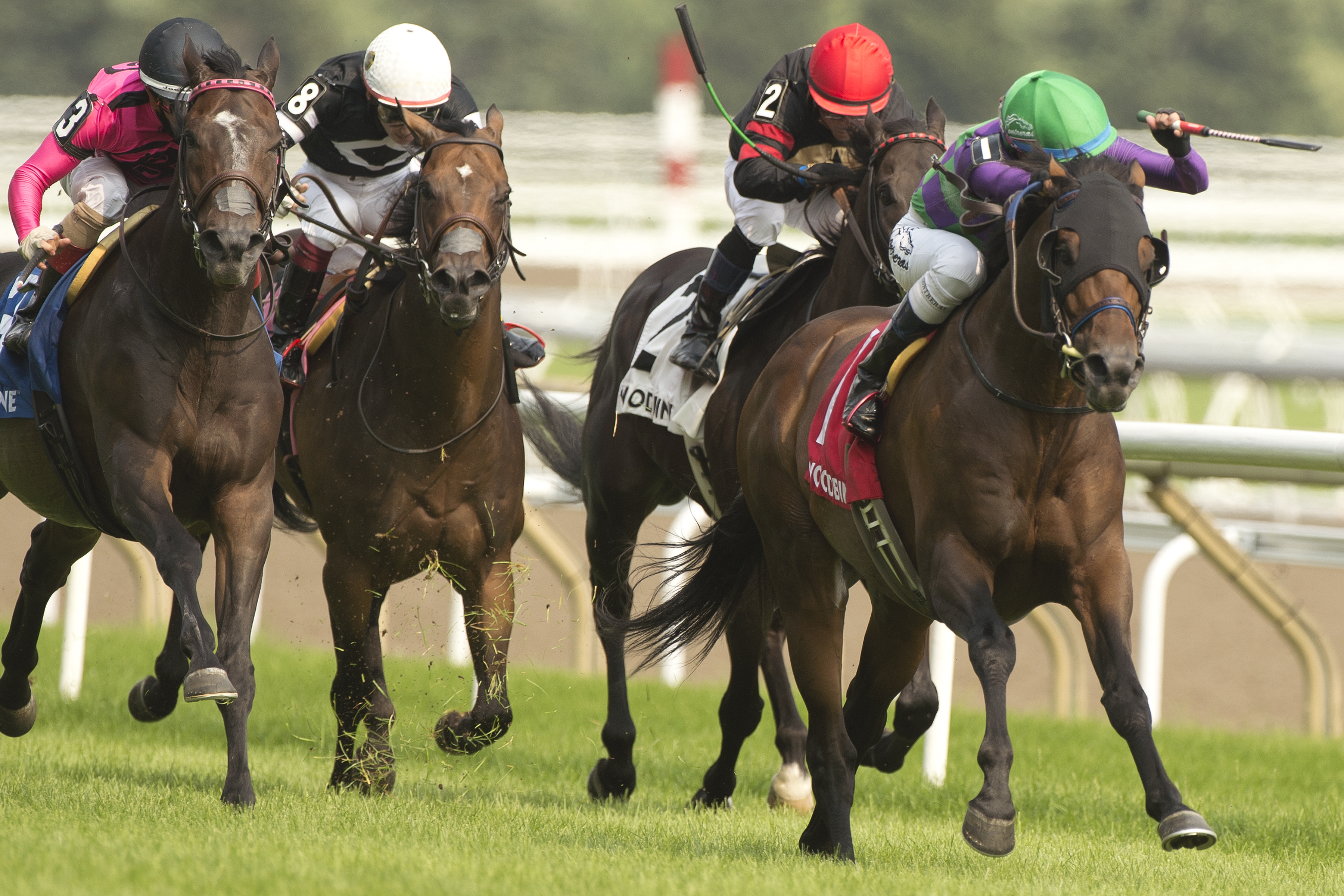 Avie's Flatter (far right) wins Connaught Cup 7-18-2021