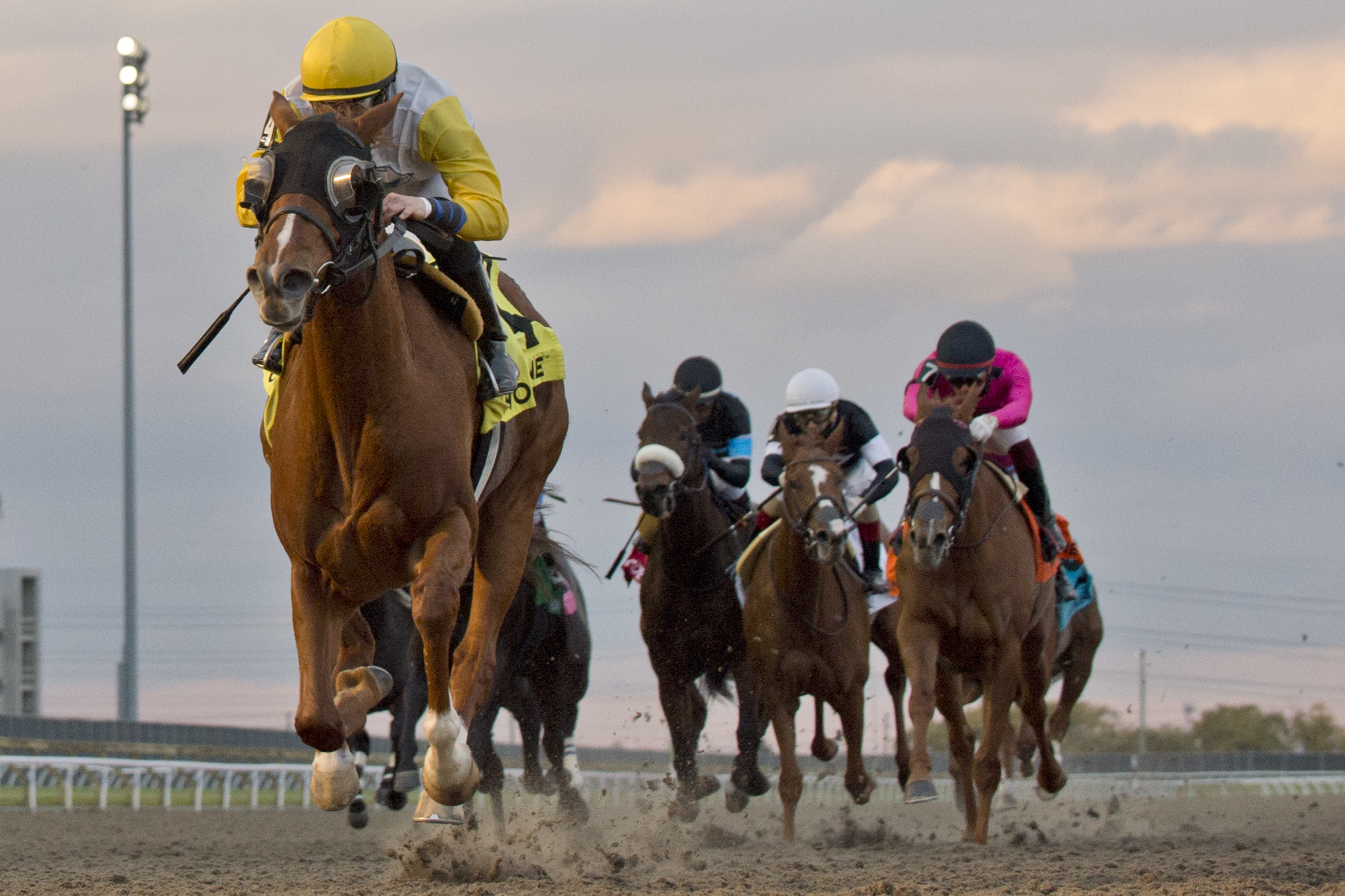 Lady Speightspeare wins Bessarabian 11-13-2021