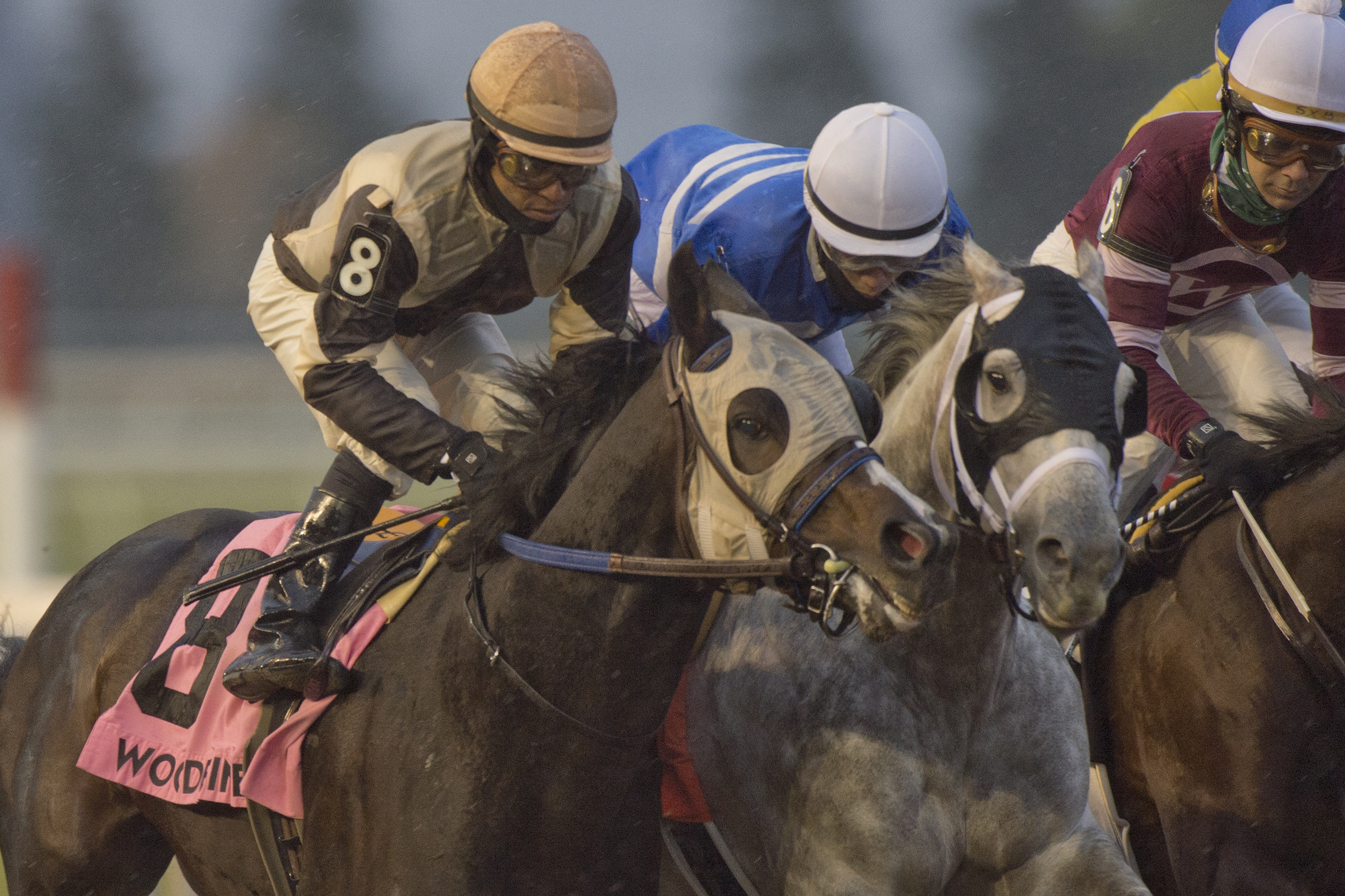 Mighty Heart (left) wins the Autumn 11-14-2021