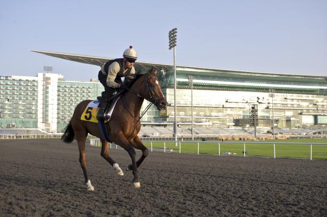 Presvis/Meydan