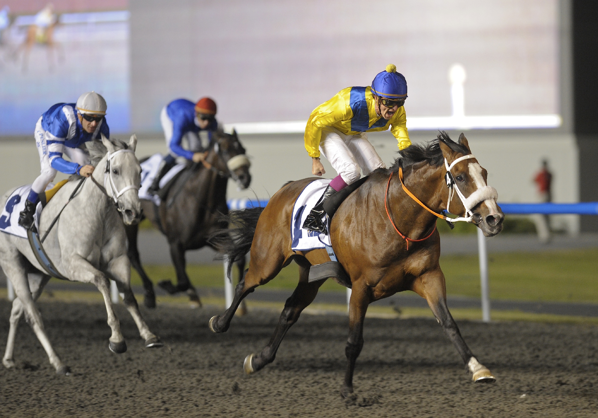 Golden Sword/Meydan