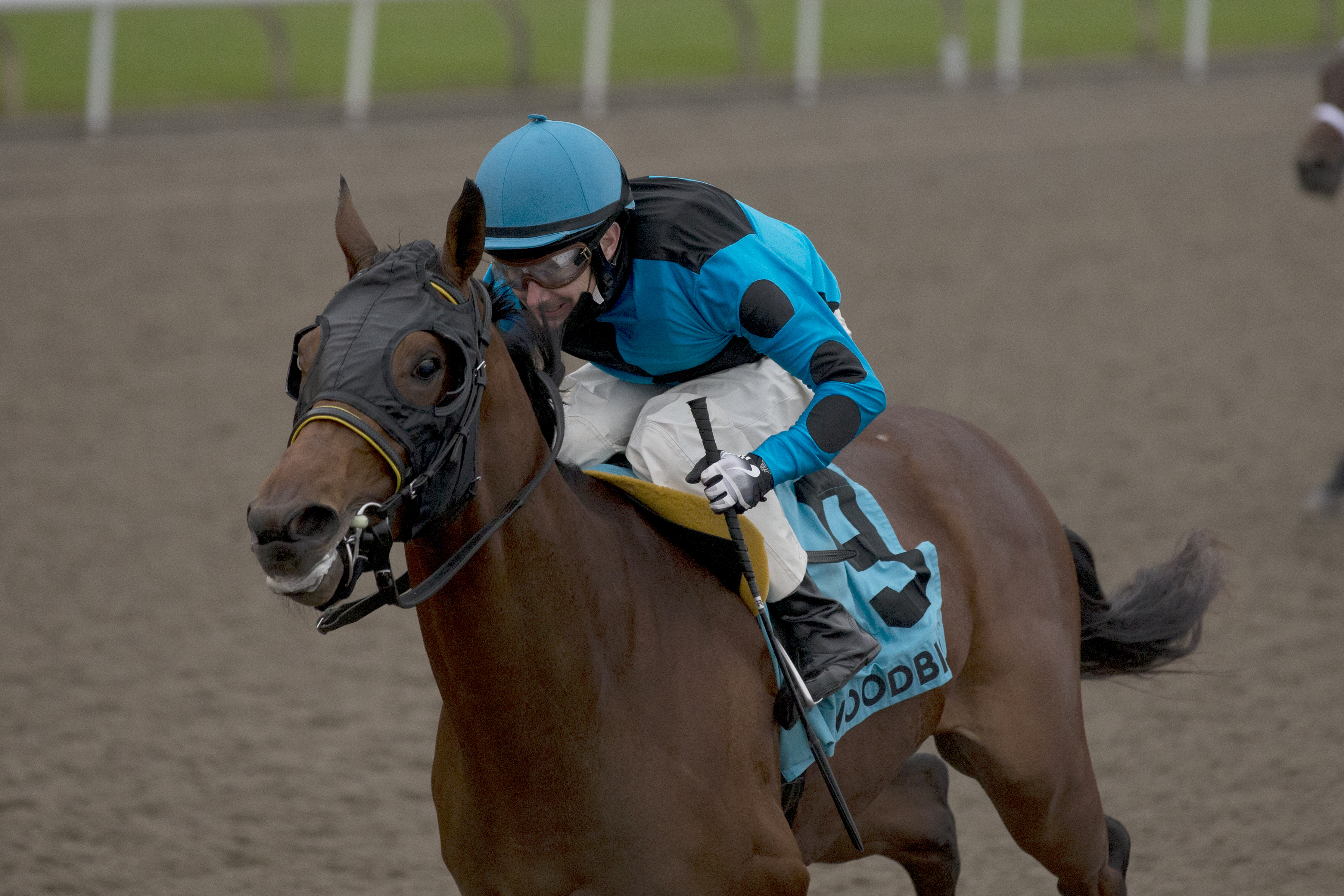 The Minkster wins Coronation Futurity 10-30-2021