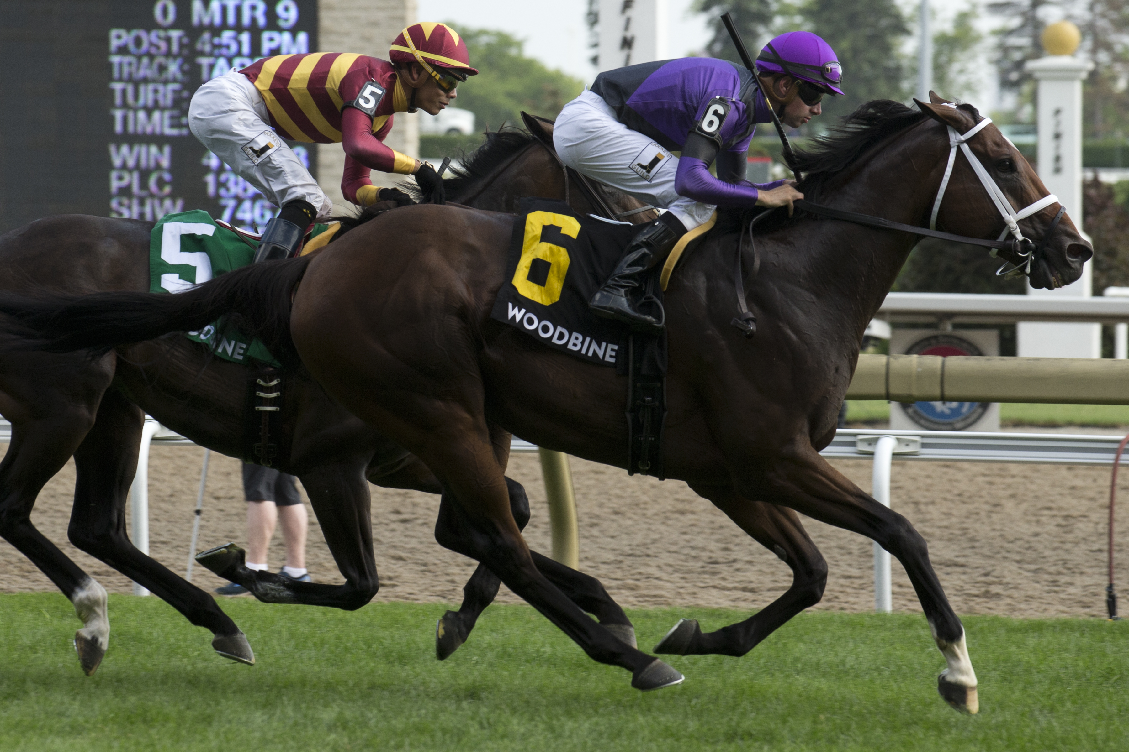 Long On Value wins the 2018 Highlander Stakes