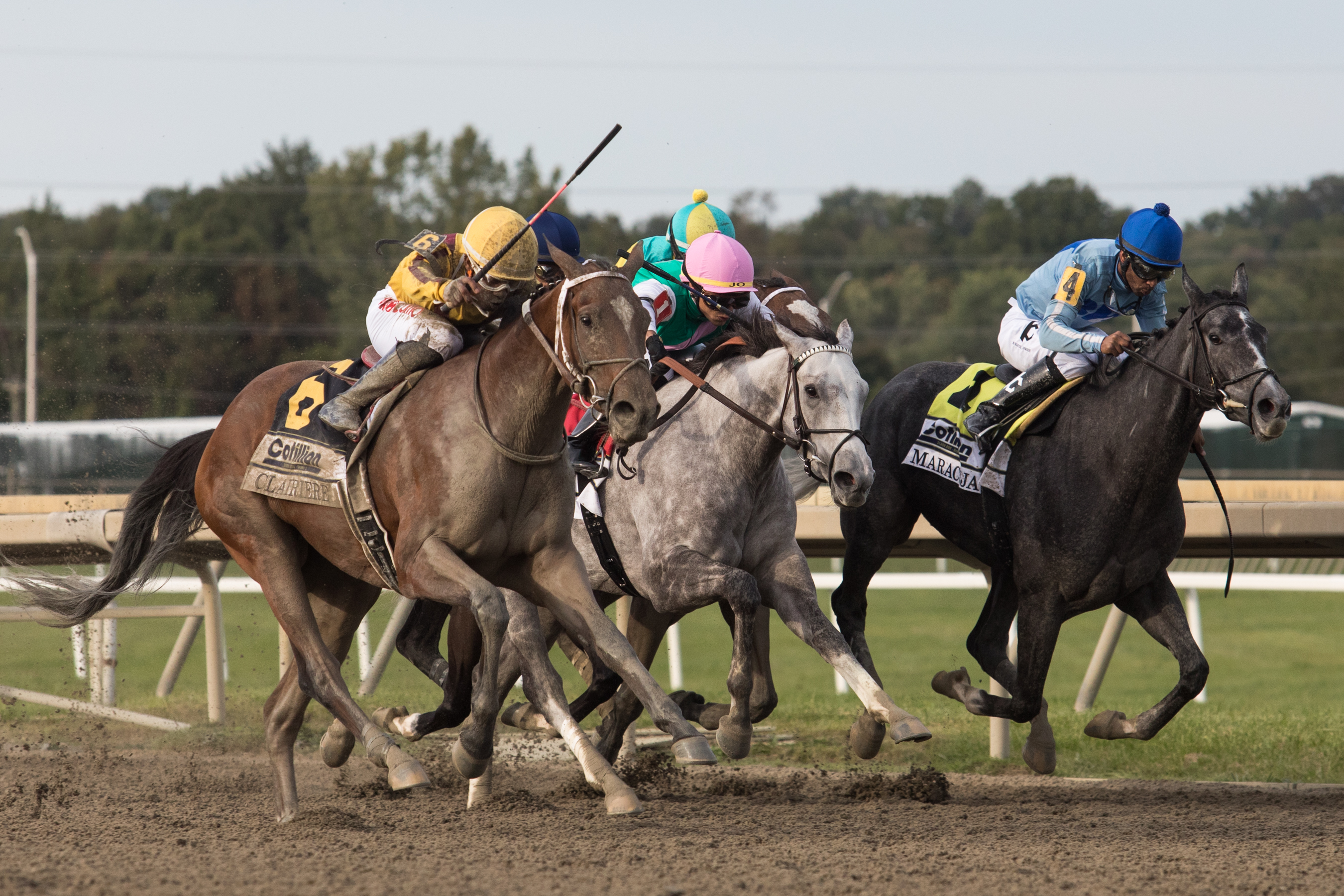 Clairiere wins Cotillion 9-25-2021