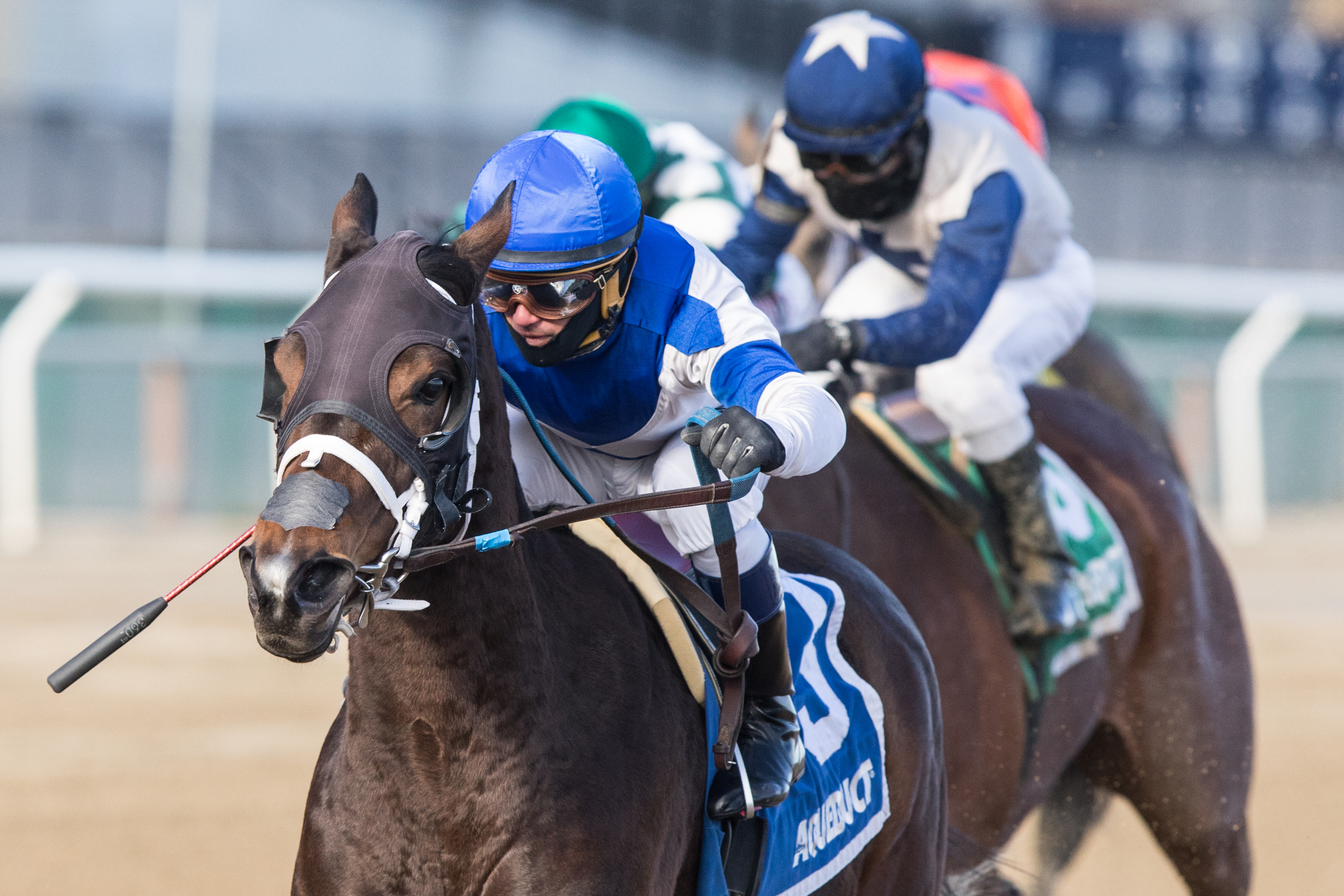 Spiced Perfection wins the 2019 Go for Wand