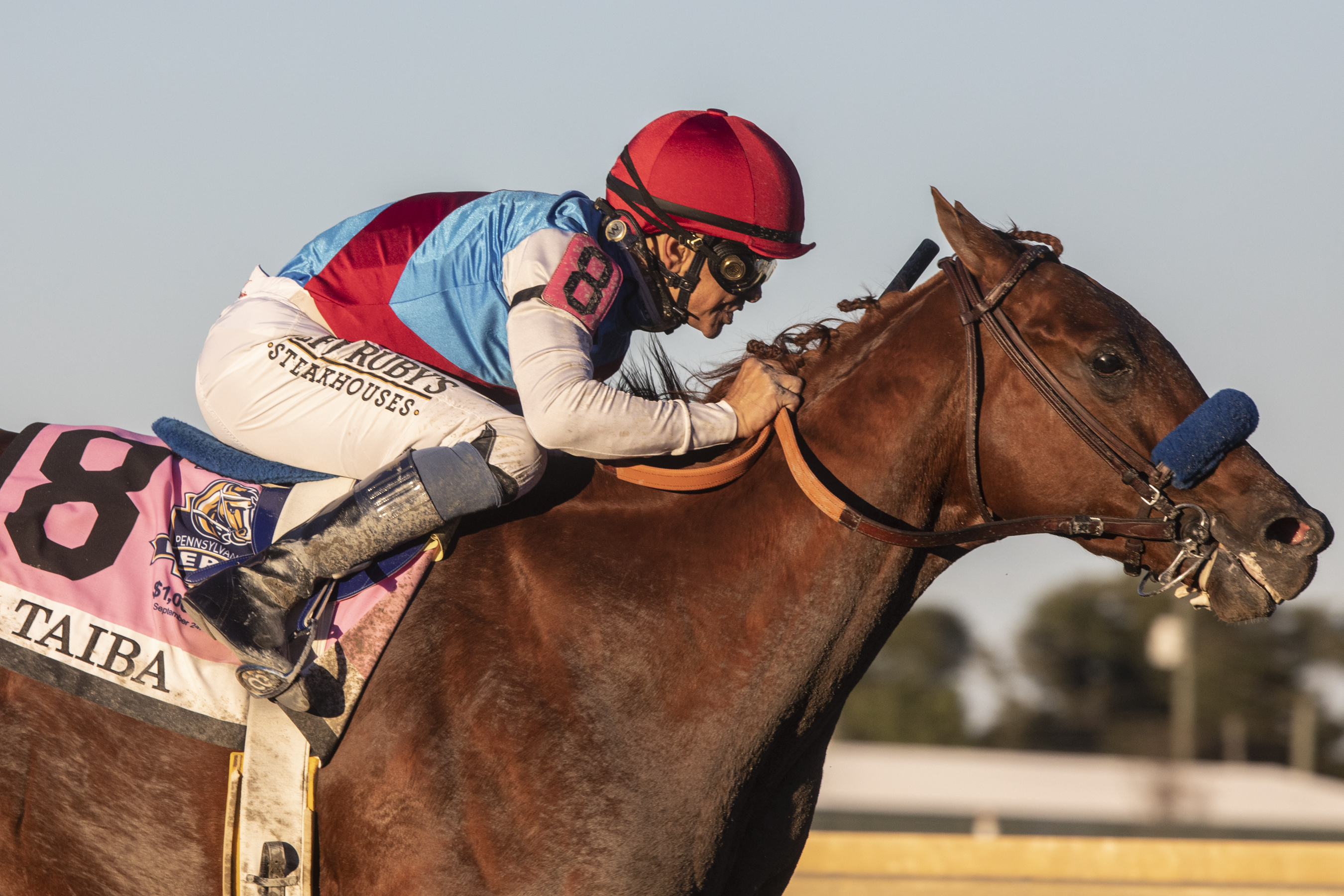 Taiba/Pennsylvania Derby