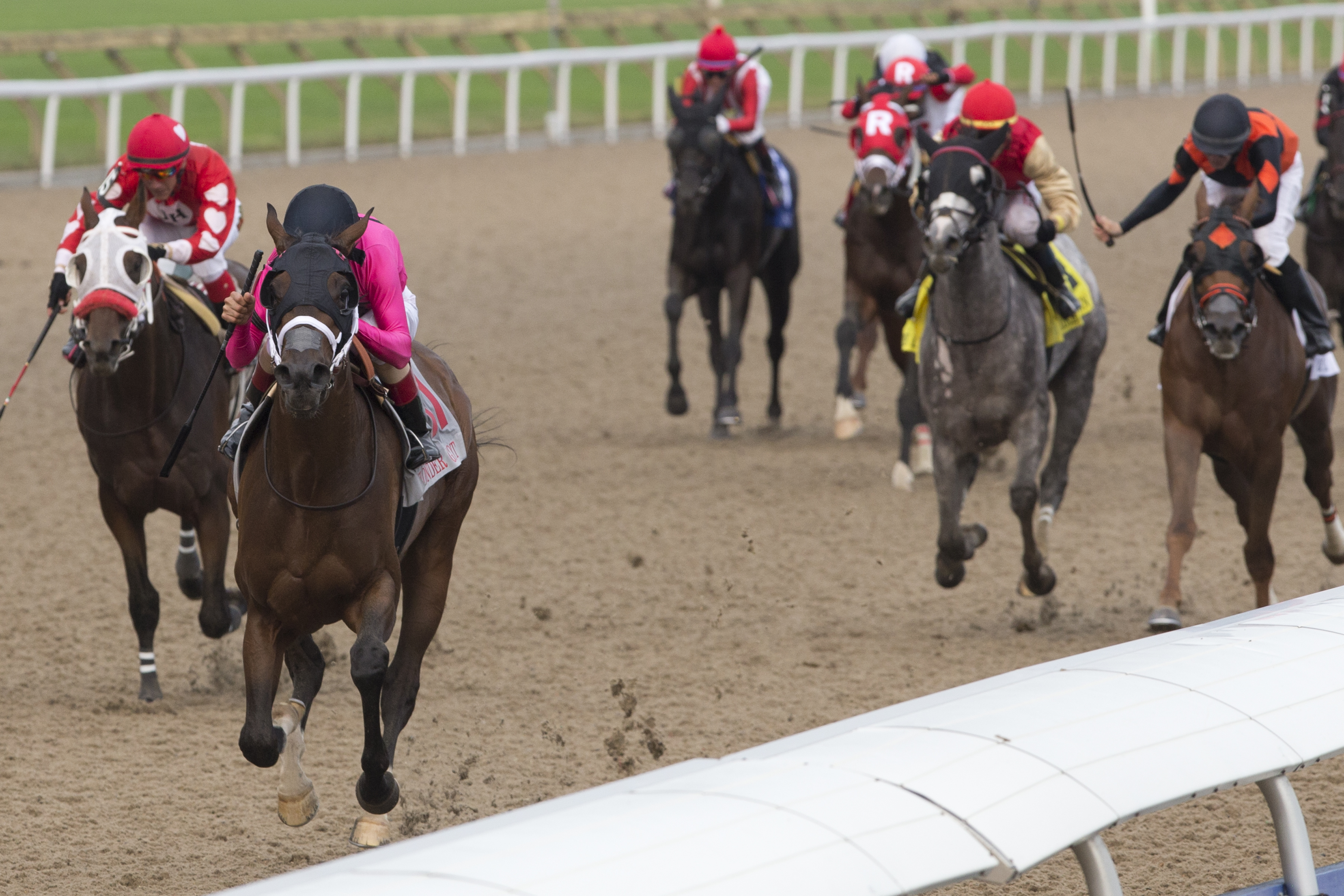 Wonder Gadot wins the 2018 Queen-s Plate