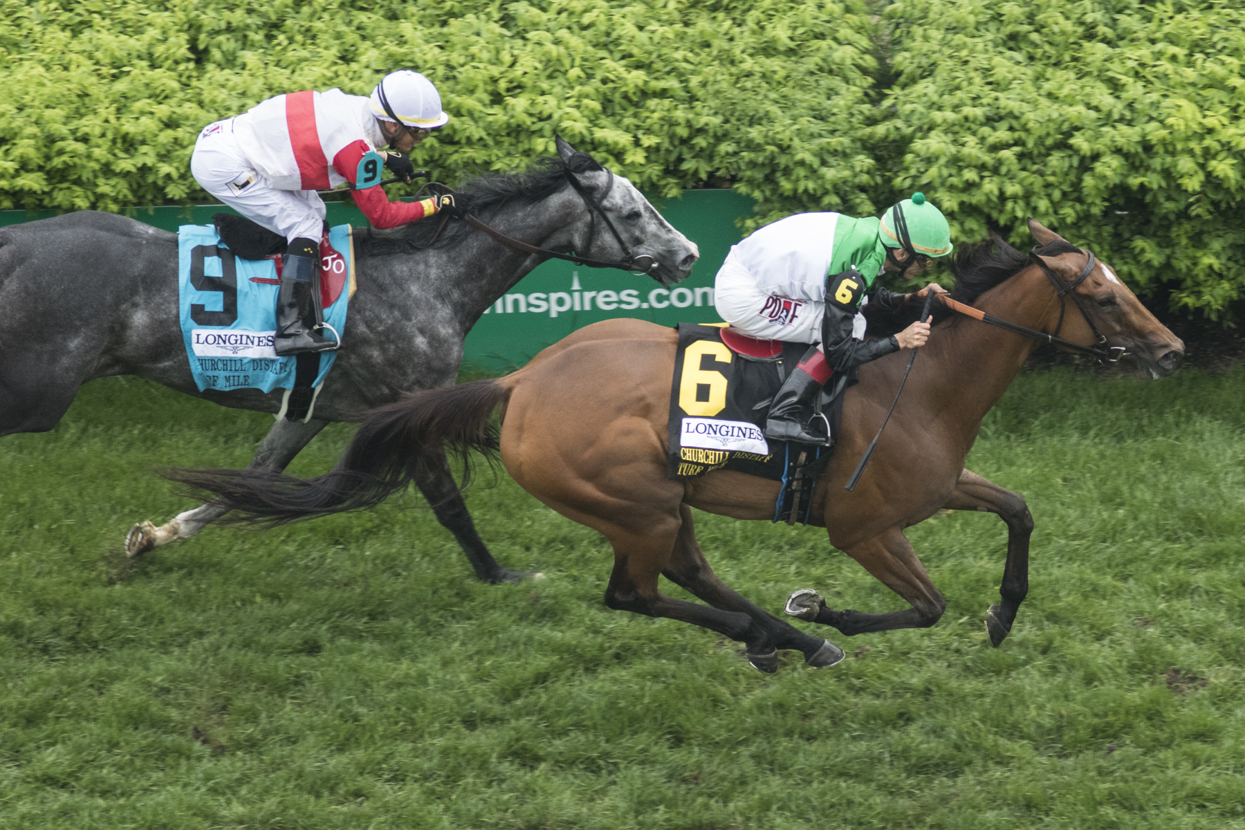Proctor's Ledge/CD Distaff Turf