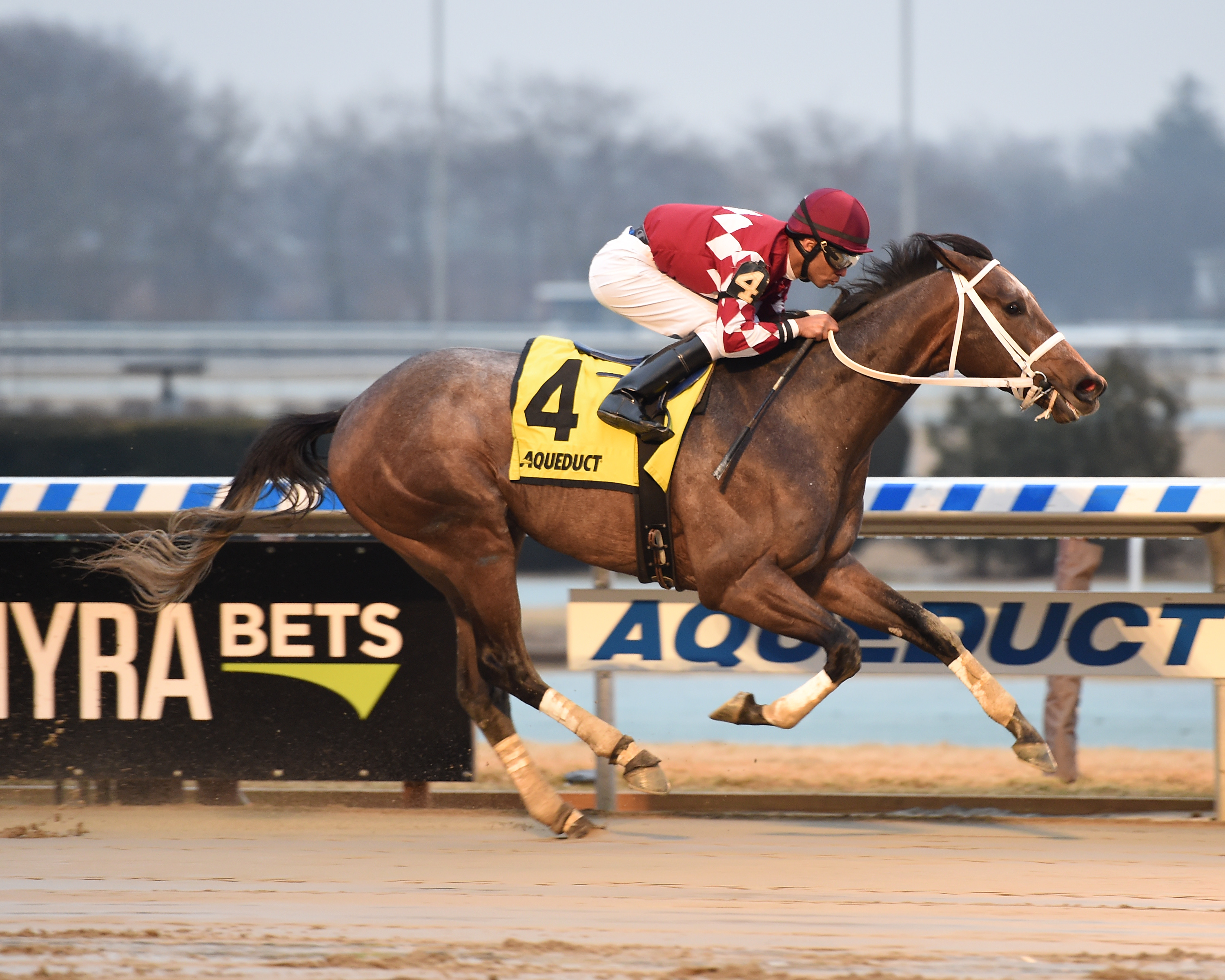 A Different Style wins the 2018 Jimmy Winkfield Stakes