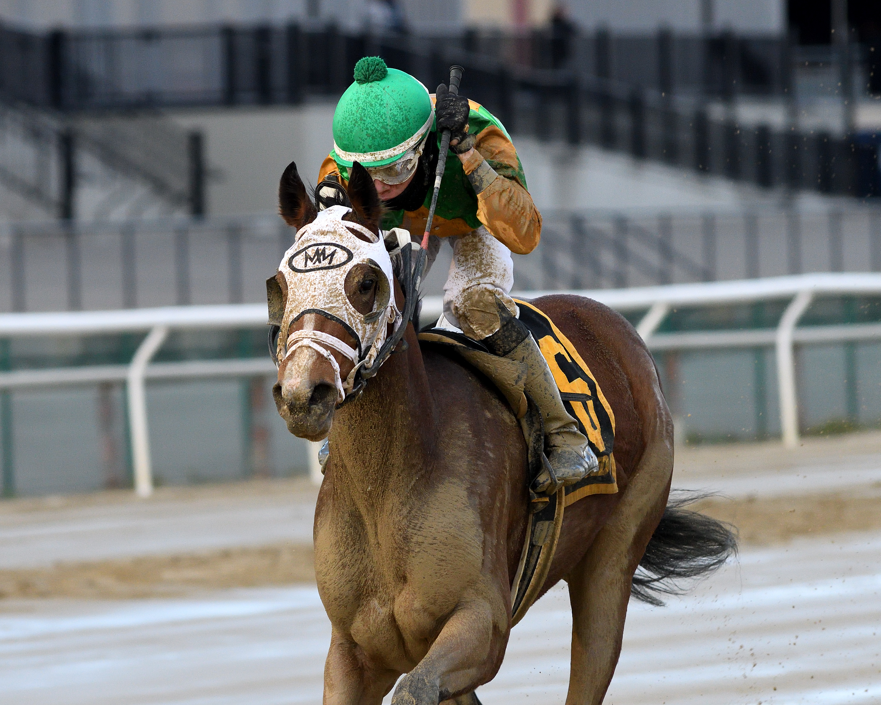 A Freud of Mama wins the 2019 NYSS Fifth Avenue