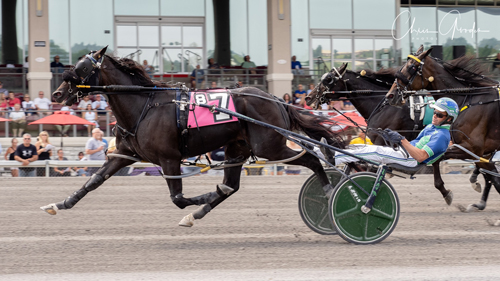 Abuckabett Hanover 7-29-21