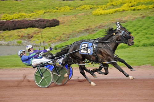 Abuckabett Hanover 5-16-21