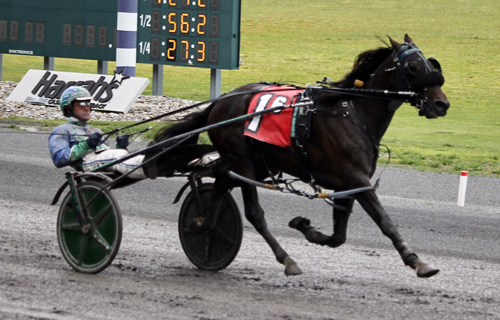 Abuckabett Hanover 5-30-21
