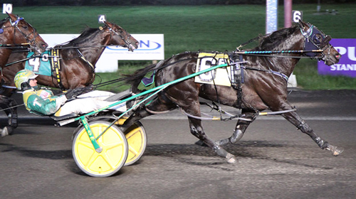 Abuckabett Hanover 5-7-22