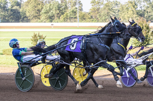 Abuckabett Hanover 10-10-21
