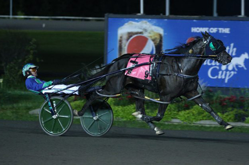 Abuckabett Hanover 9-18-21