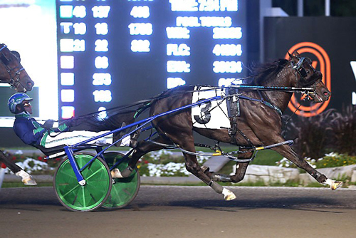 Abuckabett Hanover 9/19/20