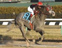 Achilles of Troy