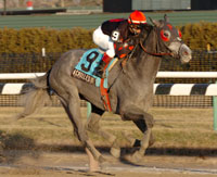 Achilles of Troy