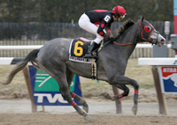 Achilles of Troy