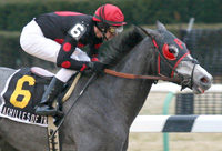 Achilles of Troy