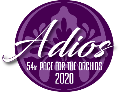 adios 2020