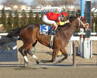 Affirmed Success