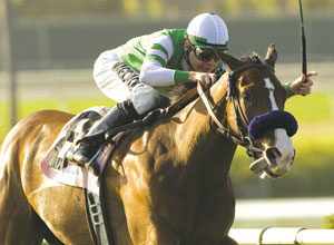 Afleet Eagle