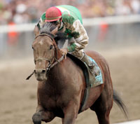 Afleet Alex