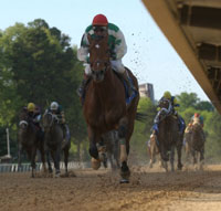 Afleet Alex