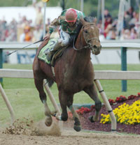 Afleet Alex