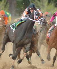 Afleet Alex collides with Scrappy T in Preakness
