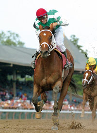 Afleet Alex