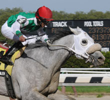 Afleet Again