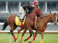 Afleet Alex