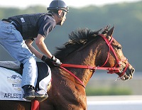 Afleet Alex