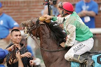 Afleet Alex