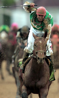 Afleet Alex