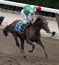 Afleet Alex