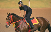 Afleet Alex