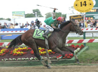 Afleet Alex