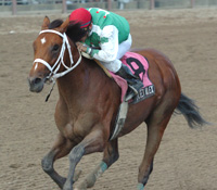 Afleet Alex