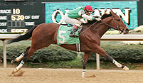 Afleet Alex