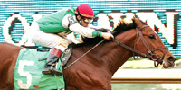 Afleet Alex
