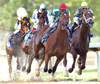 Afleet Alex