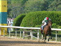 Afleet Alex