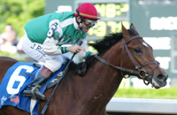 Afleet Alex