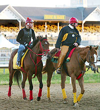 Ritchey training outside the box with Afleet Alex