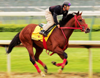 Afleet Alex